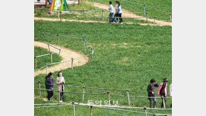 [전북]‘보리밭 사잇길’ 걷기