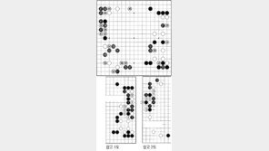 [바둑]제54회 국수전…정석의 절충
