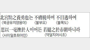 [한자 이야기]<1131>북궁유지양용야…