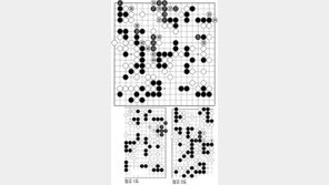[바둑]제54회 국수전…바늘 끝 같은 틈새
