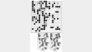 [바둑]제54회 국수전… 묘수에 묘수