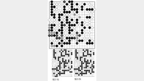 [바둑]제54회 국수전…한 수 삐끗하는 바람에