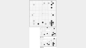 [바둑]제54회 국수전…배수의 진