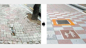 [수도권]노약자-외국인 배려 ‘착한 디자인’