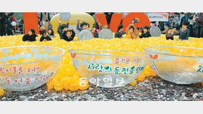 [수도권]“작은 정성, 큰 행복”… 청계광장 ‘사랑의 동전밭’ 10일까지