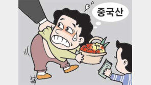 [톡톡 경제]“한국산 둔갑 中 카네이션 꼼짝마”… 특별단속 600명 ‘짝퉁’과의 전쟁