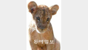 [수도권]동물 존중시대… 재미있는 ‘동물작명’의 세계