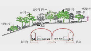 [수도권]창경궁-종묘 80년만에 잇는다