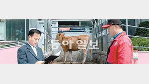 [강원]‘사랑의 송아지’는 사랑을 낳고…