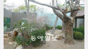 [수도권]말레이곰 꼬마 2억 새집 집들이… “이젠 가출 생각마렴”