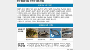 [수도권]잉어-붕어 “Yes”… 미꾸라지-황소개구리 “No” 한강 방생 안내센터 문열어