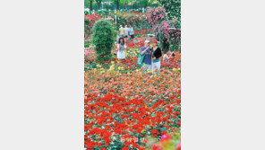 [수도권]“장미의 城으로 오세요”
