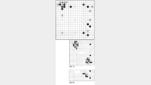 [바둑]제55회 국수전…주목할 만한 신인
