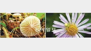 [수도권]쓰레기매립지가 동식물 천국으로