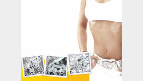 [헬스&뷰티/당신의 장 건강하십니까]<끝> 유산균의 역할