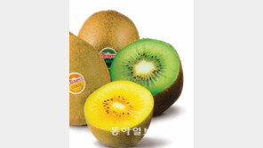 [헬스&뷰티]새콤 달콤한 ‘보약’ 키위… 하루 2개로 가족 건강 지킨다