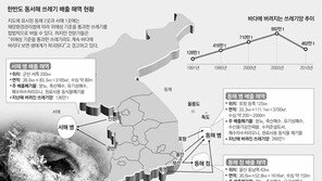 작년 해양폐기물 462만t… 1인당 100kg 버렸다