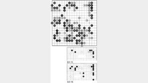 [바둑]제55회 국수전…백의 완승국