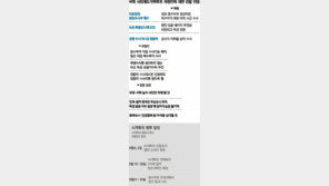 대검 중수부 폐지로 가닥… 특별수사청-공수처 신설 유야무야… 권력비리 수사 맡을 곳이 없다