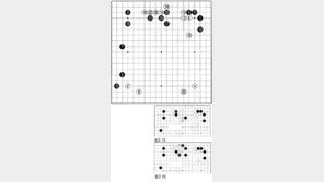 [바둑]제55회 국수전… 건강한 청년과 10대 강자
