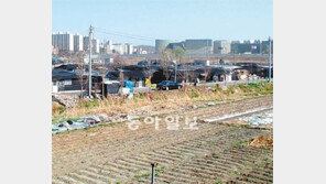 [수도권]‘벌통 알박기’ 떠들썩했던 문정지구 지금은…
