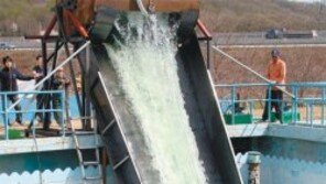 [수도권]고양 폐정수장, 수중촬영 명소로 거듭나다