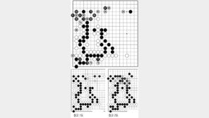 [바둑]제55회 국수전…흑 87이 패착