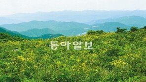 [김화성 전문기자의 &joy]산좋고 물좋은 어딘가에 숨어들고 싶다면