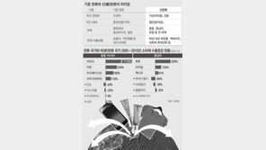 [지구촌 ‘한류 실핏줄’ 흐른다]중남미 수출 50% 급증… “알고보니 新한류 덕”