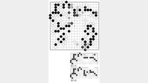 [바둑]제55회 국수전… 백 8, 완착 