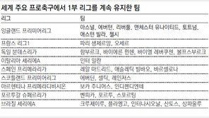 [해외축구]“우리 팀 역사엔 ‘강등’이란 말은 없다”