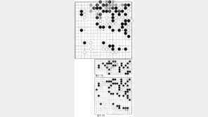 [바둑]제55회 국수전…백의 꽃놀이 패