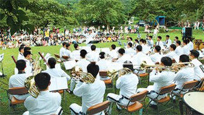 [제주]한여름의 축제 열기 속으로