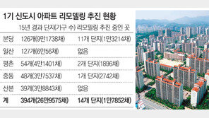 [수도권]‘아파트 리모델링’ 가구수 늘리기 불허… 1기 신도시 주민 반발