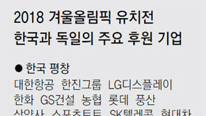 [평창의 환희]獨佛 기업도 힘껏 뛰었다… 한국 기업이 한발 앞섰다