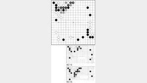 [바둑]제55회 국수전…묘수, 백 42