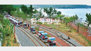 [강원]삼척 해양레일바이크 ‘인기 질주’