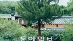 [휴지통]“도산서원 금송, 박정희 前대통령이 심은 것 아니다”