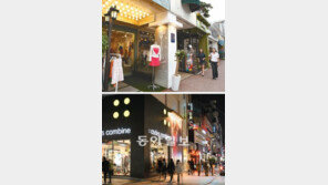 [수도권]강남 길에 ‘디자인-개성’ 입힌다