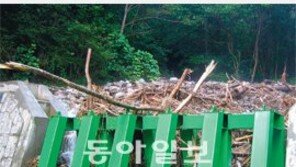 [강원]강원도 수해, 사방댐이 살렸다