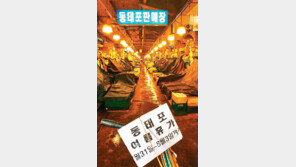 [수도권]본격 휴가철… 재래시장도 휴가