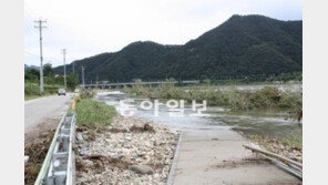 [강원]강촌 자전거도로 쑥대밭