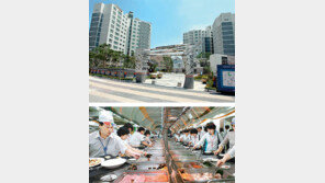 “단잠자고 세계新” 달구벌 선수촌 섰다