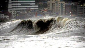 광주-전남-제주 정전… 항공기 결항… 2명 사망 1명 실종… 진로 바꾼 ‘무이파’ 한반도 더 큰 피해