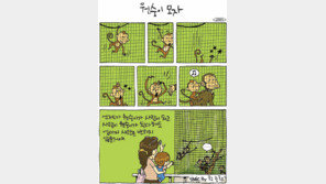 [386c]<2885>원숭이 母子