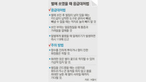 [수도권]“무서워요 땡벌, 땡벌”