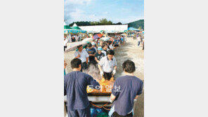 [강원]30일∼내달 6일 막국수닭갈비 축제