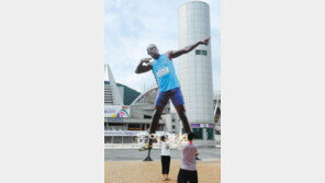 [대구육상]볼트 조형물 어디 갔을까?