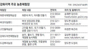 [수도권]“가을 농촌체험, 강화도로 오세요”