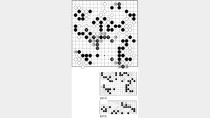 [바둑]제55회 국수전… 흑 133은 정수